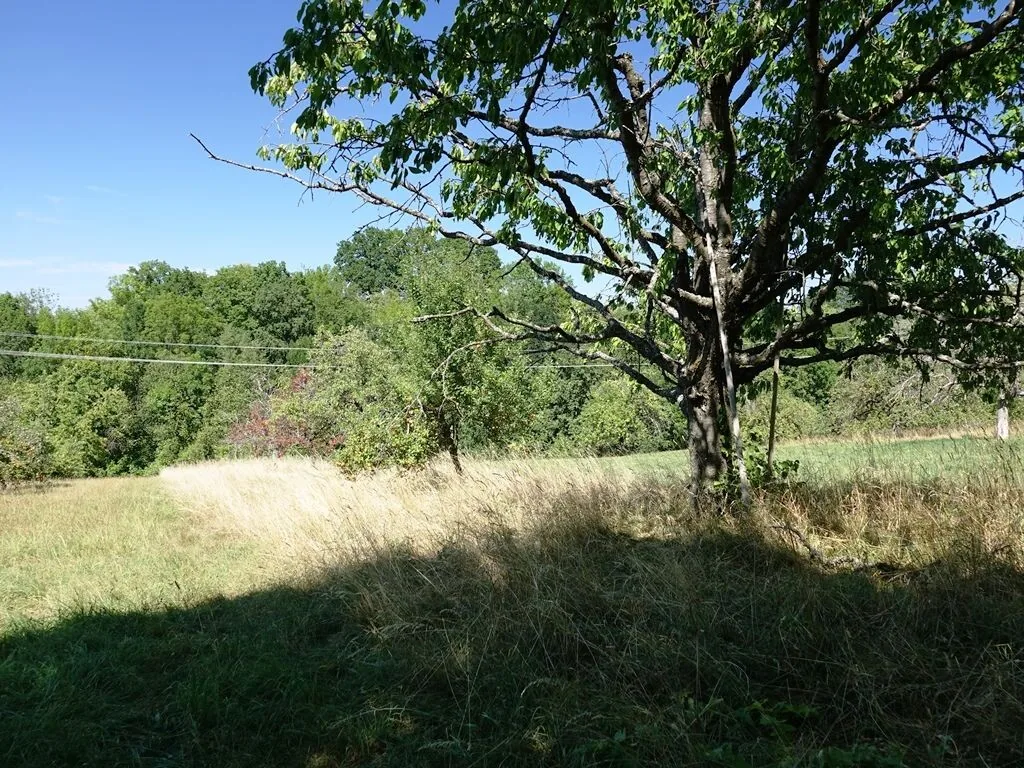 Grundstück in Mössingen